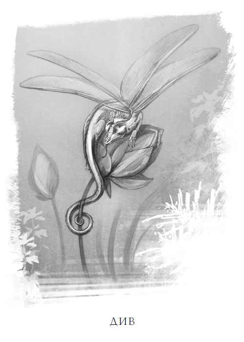 Иллюстрация к книге — Тайна чёрного волка [i_010.webp]