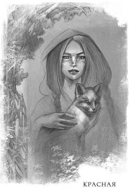 Иллюстрация к книге — Проклятие чёрного единорога [_0124.webp]