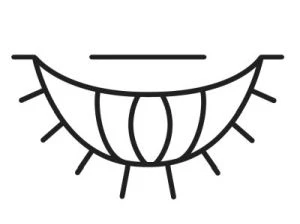 Иллюстрация к книге — Магическое свидание [i_027.webp]