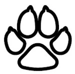 Иллюстрация к книге — Сияющий [i_005.webp]