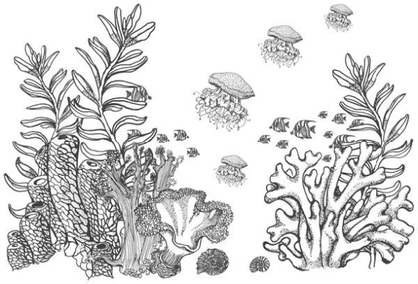 Иллюстрация к книге — Песнь бездны [i_014.webp]