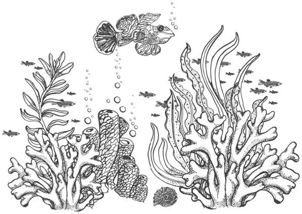 Иллюстрация к книге — Песнь бездны [i_016.webp]