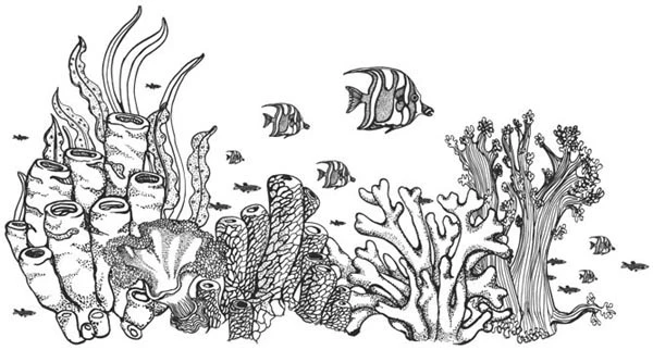 Иллюстрация к книге — Песнь бездны [i_024.webp]