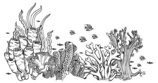 Иллюстрация к книге — Шепот глубин [i_002.webp]