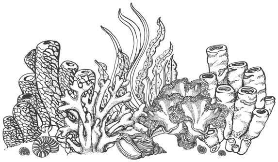 Иллюстрация к книге — Шепот глубин [i_007.webp]