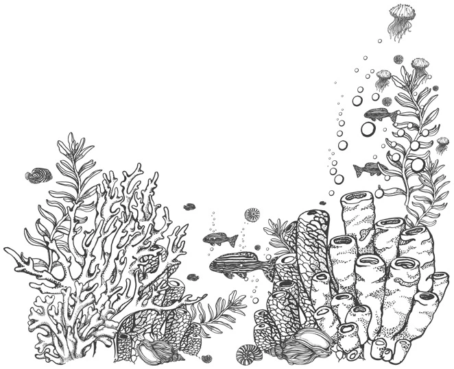 Иллюстрация к книге — Шепот глубин [i_017.webp]