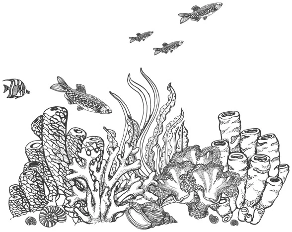 Иллюстрация к книге — Шепот глубин [i_022.webp]