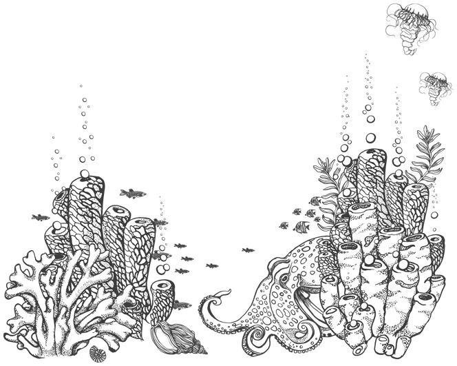 Иллюстрация к книге — Шепот глубин [i_031.webp]