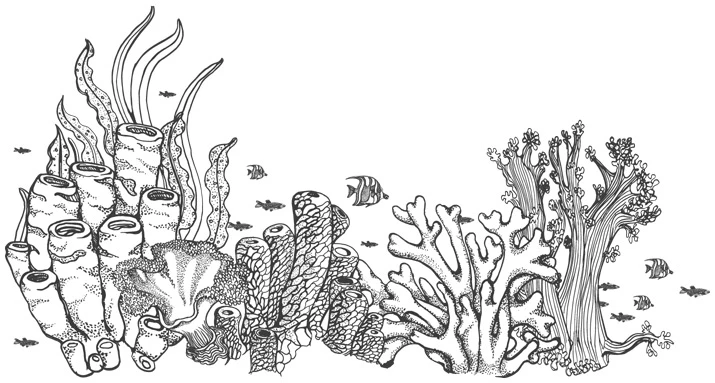 Иллюстрация к книге — Шепот глубин [i_037.webp]