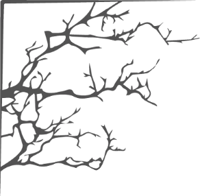 Иллюстрация к книге — Испытание Терний [book-illustration.webp]