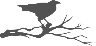 Иллюстрация к книге — Рейвен [book-illustration-1.webp]