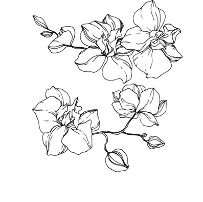 Иллюстрация к книге — Вкус музыки. Ванильный [book-illustration-1.webp]