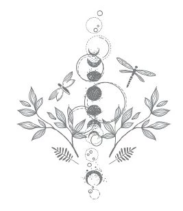 Иллюстрация к книге — Зачарованная [book-illustration-1.webp]