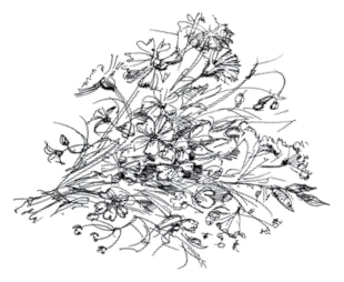 Иллюстрация к книге — Ведьмин смех [book-illustration-110.webp]