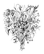 Иллюстрация к книге — Ведьмин смех [book-illustration-18.webp]