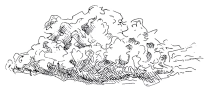 Иллюстрация к книге — Ведьмин смех [book-illustration-44.webp]