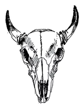 Иллюстрация к книге — Ведьмин смех [book-illustration-73.webp]