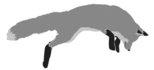 Иллюстрация к книге — Энчантра [book-illustration-2.webp]