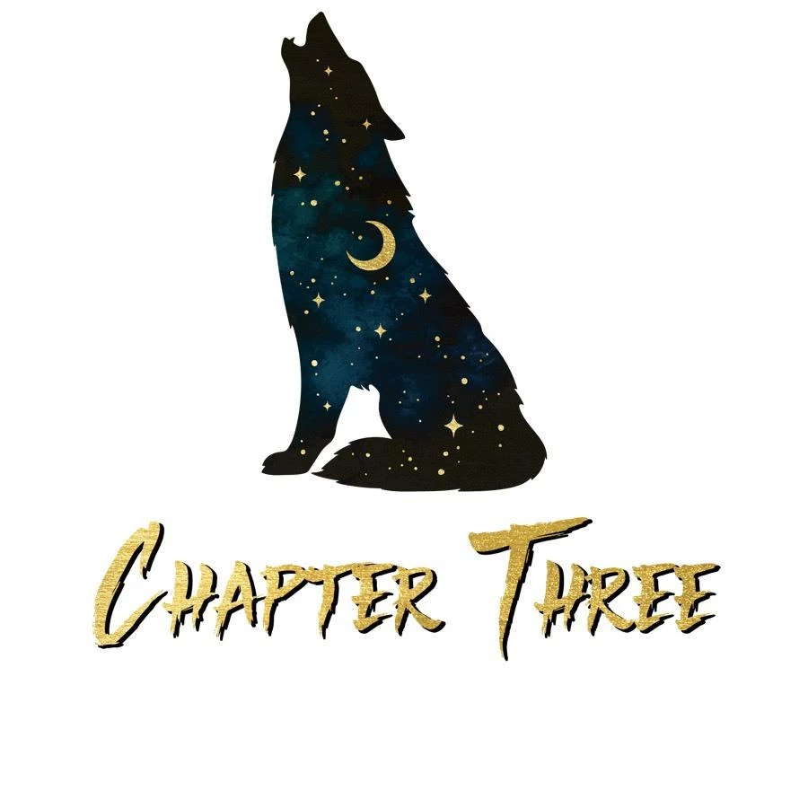 Иллюстрация к книге — Горький конец [book-illustration-16.webp]