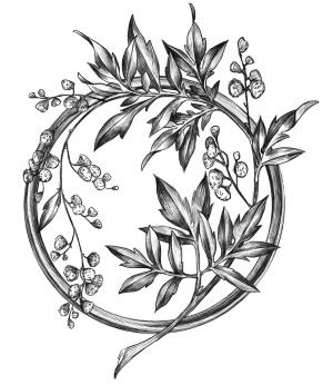 Иллюстрация к книге — Золотая свирель. Том 2 [book-illustration-12.webp]