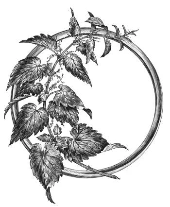 Иллюстрация к книге — Золотая свирель. Том 1 [book-illustration-16.webp]