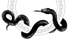 Иллюстрация к книге — Ужасно богатый вампир [book-illustration-5.webp]