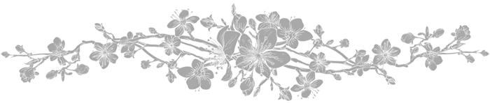 Иллюстрация к книге — Янтарь рассеивает тьму [book-illustration-17.webp]