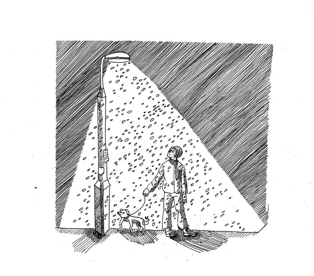 Иллюстрация к книге — 54 по шкале магометра [book-illustration-21.webp]