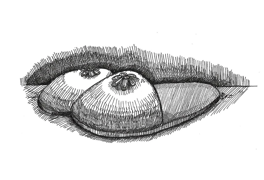 Иллюстрация к книге — 54 по шкале магометра [book-illustration-26.webp]