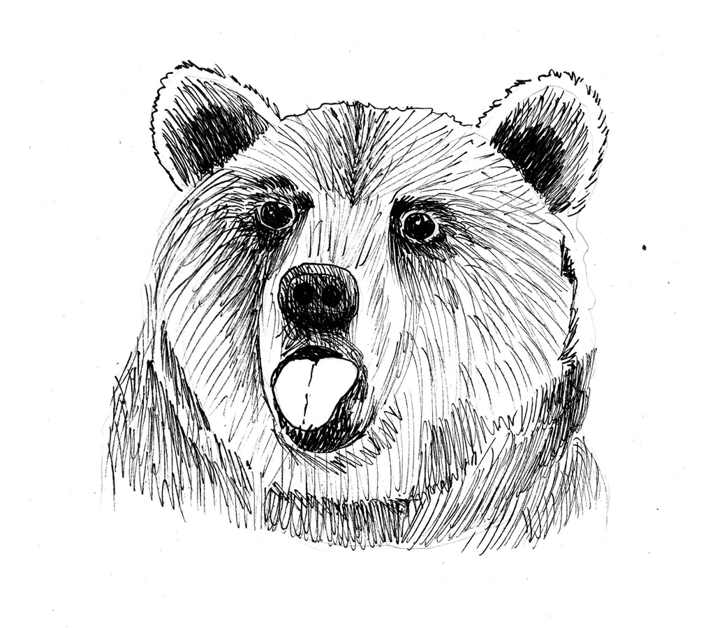 Иллюстрация к книге — 54 по шкале магометра [book-illustration-28.webp]