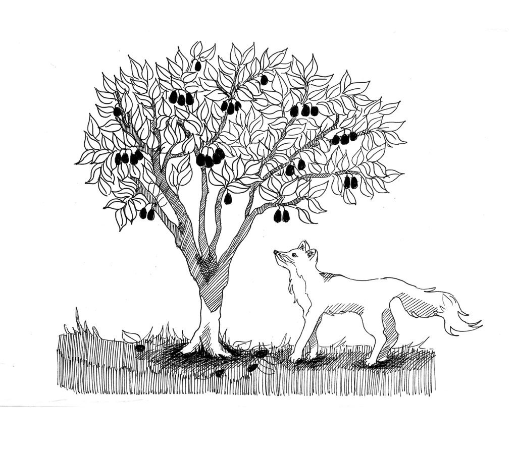 Иллюстрация к книге — 54 по шкале магометра [book-illustration-31.webp]