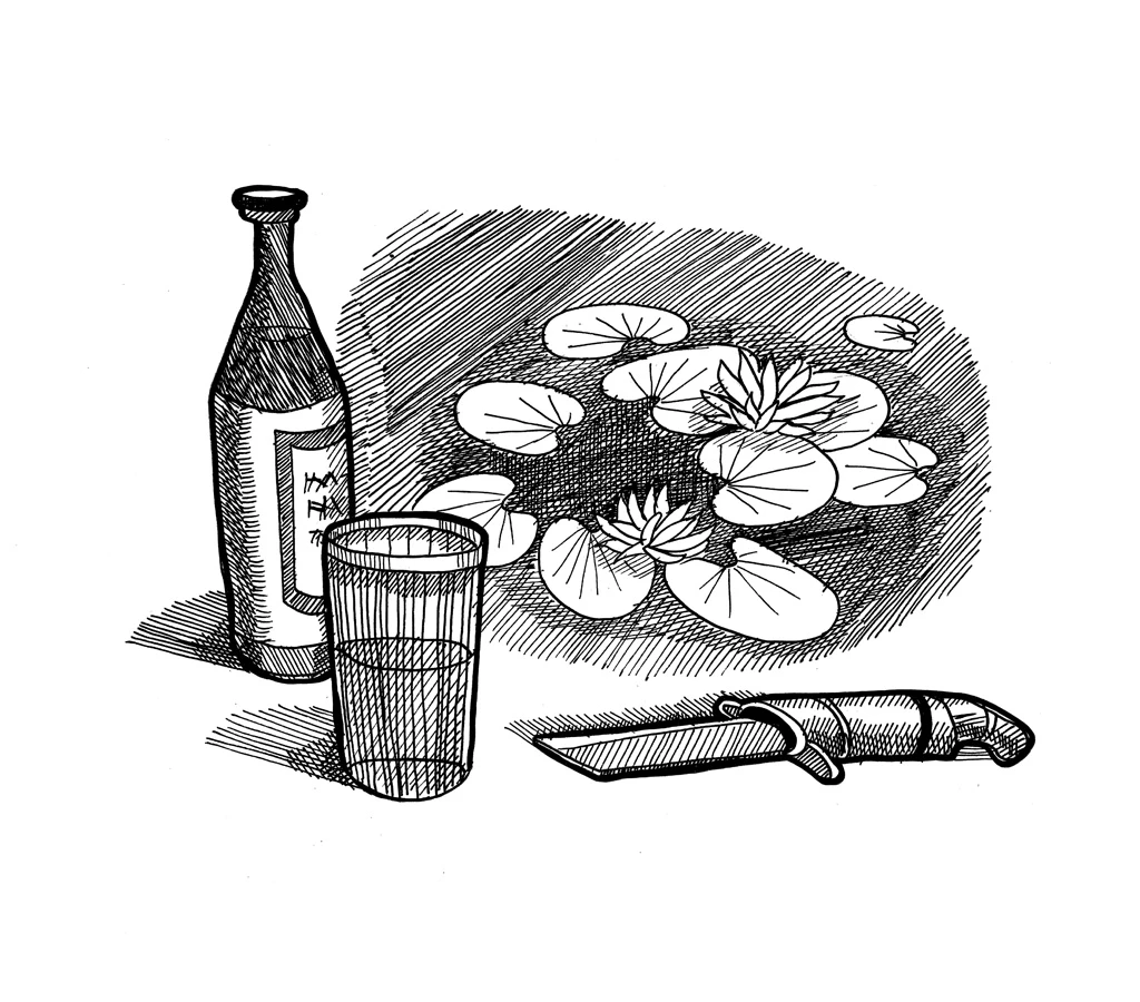 Иллюстрация к книге — 54 по шкале магометра [book-illustration-38.webp]