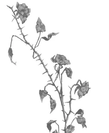 Иллюстрация к книге — Свет в твоей душе [book-illustration-1.webp]