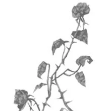 Иллюстрация к книге — Свет в твоей душе [book-illustration-11.webp]