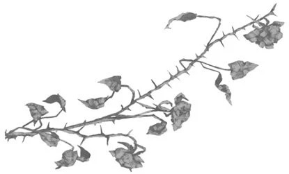 Иллюстрация к книге — Свет в твоей душе [book-illustration-19.webp]