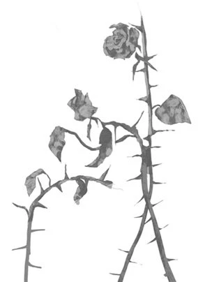 Иллюстрация к книге — Свет в твоей душе [book-illustration-32.webp]