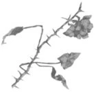 Иллюстрация к книге — Свет в твоей душе [book-illustration-33.webp]