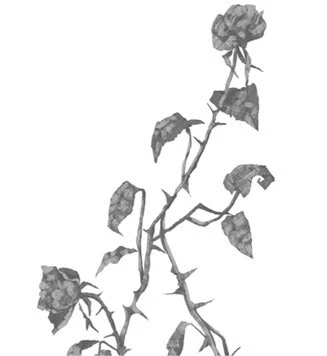 Иллюстрация к книге — Свет в твоей душе [book-illustration-40.webp]