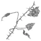 Иллюстрация к книге — Свет в твоей душе [book-illustration-41.webp]