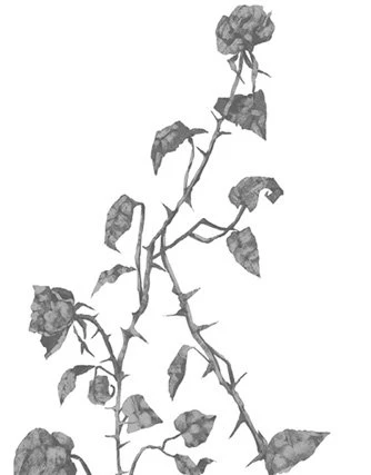 Иллюстрация к книге — Свет в твоей душе [book-illustration-44.webp]