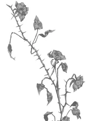 Иллюстрация к книге — Свет в твоей душе [book-illustration-54.webp]