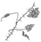 Иллюстрация к книге — Грех в твоей крови [book-illustration-15.webp]