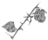 Иллюстрация к книге — Грех в твоей крови [book-illustration-17.webp]