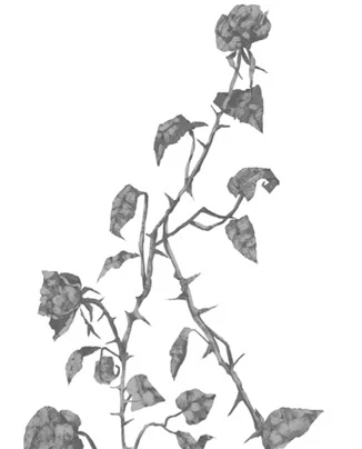 Иллюстрация к книге — Грех в твоей крови [book-illustration-20.webp]