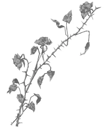 Иллюстрация к книге — Грех в твоей крови [book-illustration-22.webp]