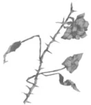 Иллюстрация к книге — Грех в твоей крови [book-illustration-29.webp]