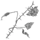 Иллюстрация к книге — Грех в твоей крови [book-illustration-40.webp]