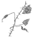 Иллюстрация к книге — Грех в твоей крови [book-illustration-5.webp]