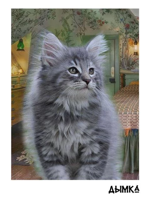 Иллюстрация к книге — Горыныч 3.0. Инициация [book-illustration-6.webp]