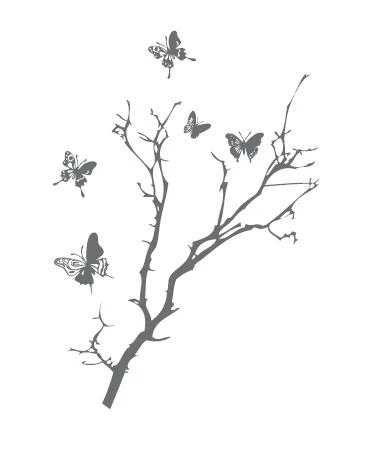 Иллюстрация к книге — Секреты семьи Леконт [book-illustration.webp]